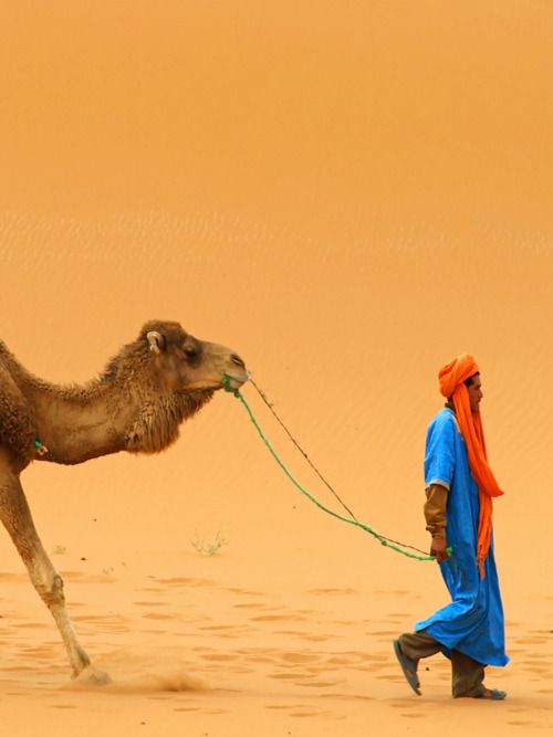 AroundDesert's tweet photo. Welcome to Around Morocco trips company, we offer best holidays and customized desert excursions in Morocco #moroccotours #cameltrekking #saharatours #bestholidaysinmorocco https://t.co/YPELtyWe8t