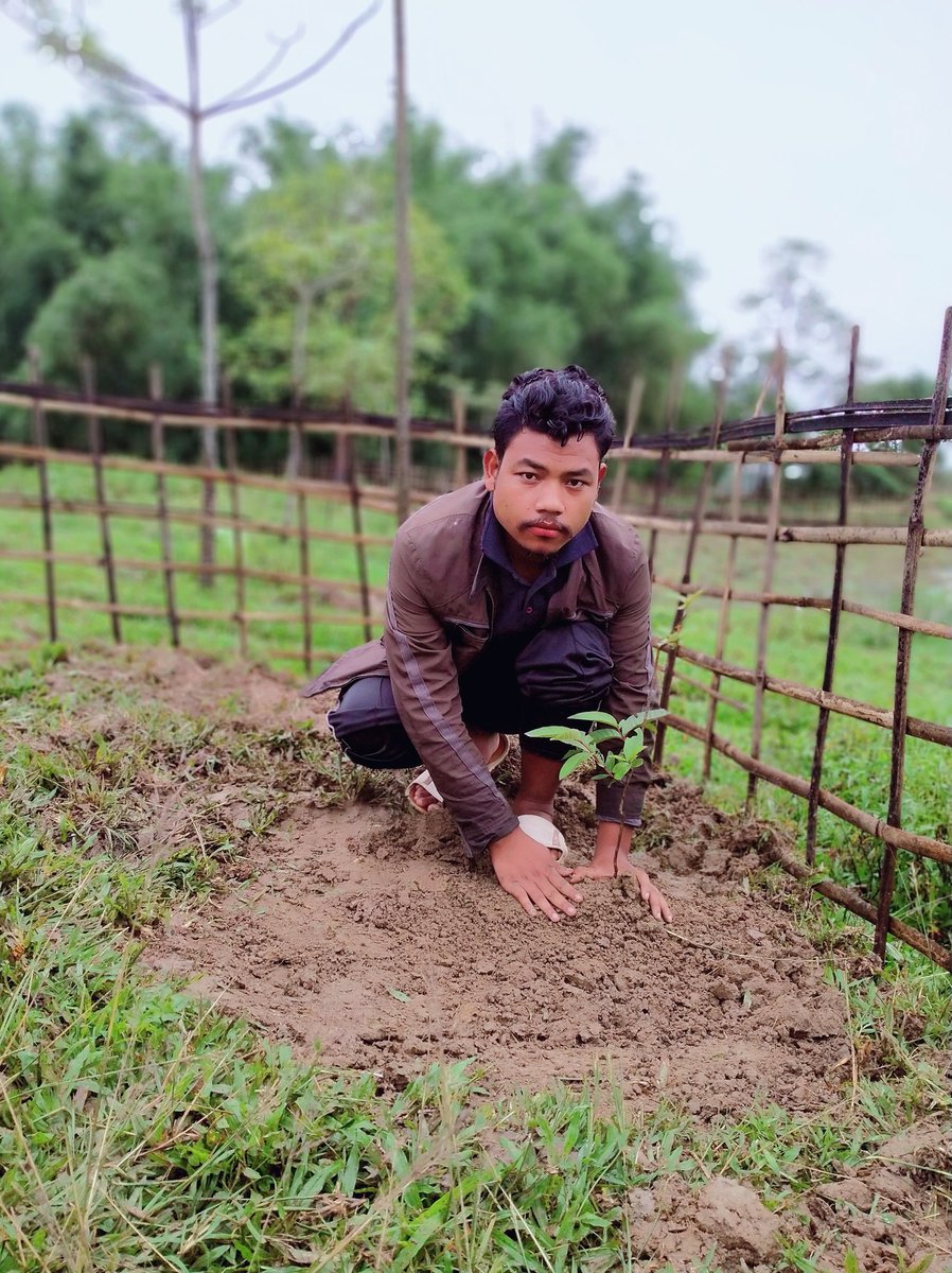 KiranPegu11's tweet photo. গছ থাকিলেহে মানুহ থাকিব..
"বিশ্ব পৰিবেশ দিৱস" উপলক্ষে ঘৰৰ পিছফালে আৰু চৌপাশে মোৰ ভাইটি আৰু বন্ধুসকলৰ সৈতে প্ৰকৃতিক নতুন ৰূপ দিয়াৰ চেষ্টাৰে এটি এটিকৈ গছ পুলি ৰূপন কৰোঁ। এখন সেউজ আৰু প্ৰদূষণমুক্ত অসম গঢ়াৰ লক্ষ্যত আজি সমাজৰ সৈতে একমত হওঁ।
#PollutionFreeAssam
#WorldEnvironmentDay https://t.co/CVXvYGsbwB
