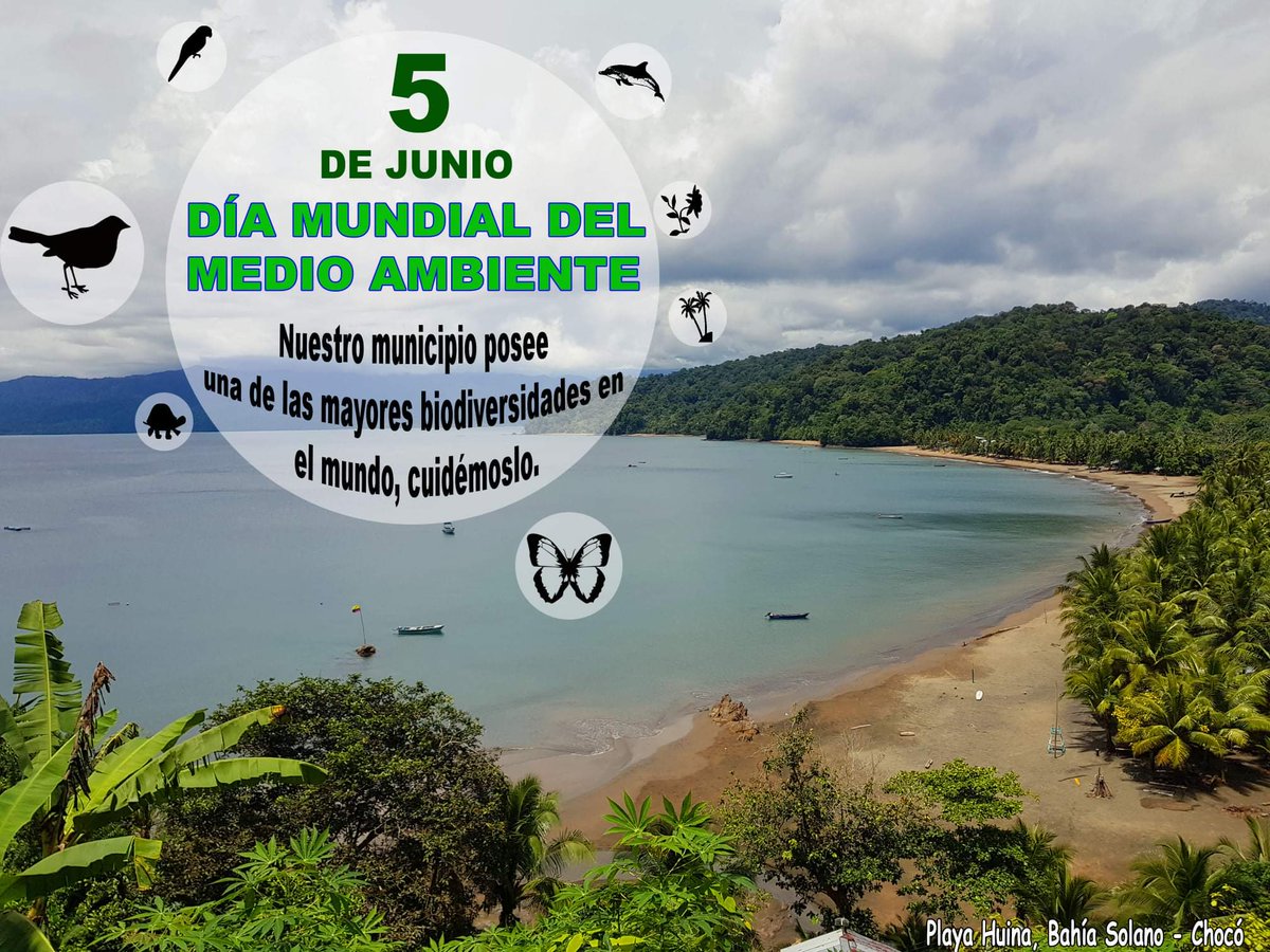 Harley Liliana Ortiz S. (@harleylilianao) / Posts / X