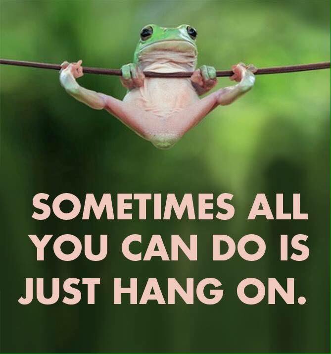 Have a read please 😁👇🏾👇🏾👇🏾
#GoodnessGraces_ #LouthChat #Drogheda #ShopLocal #BookEarly #SupportLocalBusinesses