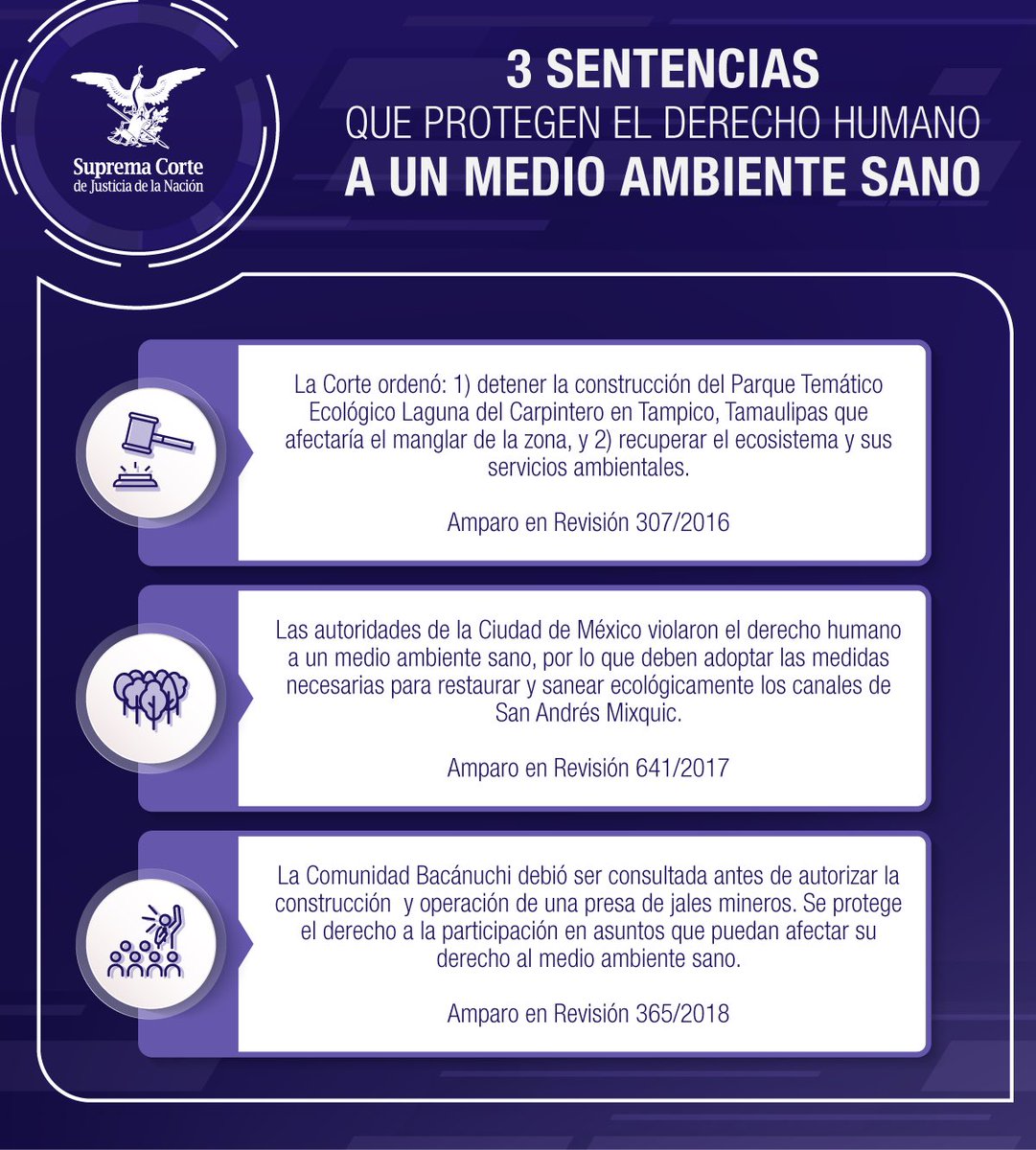SCJN's tweet image. Conoce tres sentencias de la Corte que protegen el derecho humano al medio ambiente sano y que permiten el ejercicio de otros derechos vinculados. ⬇️