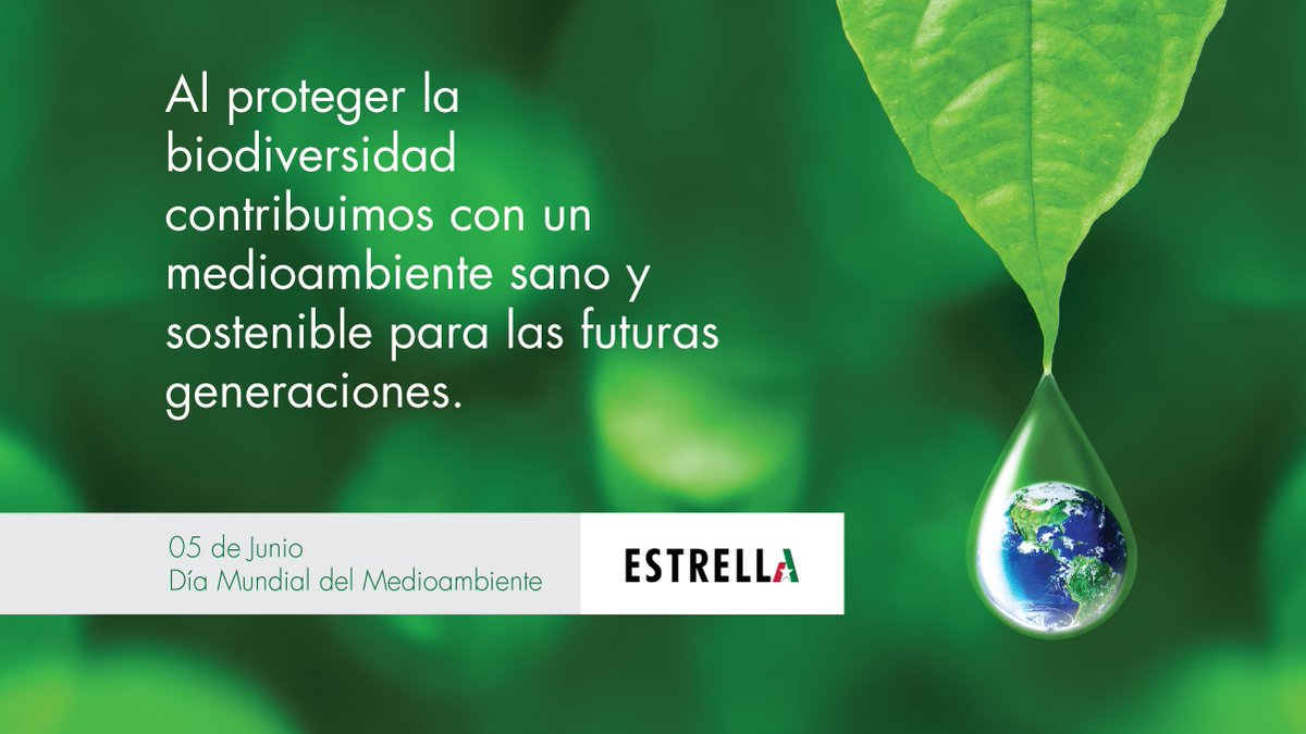 Al proteger la biodiversidad contribuimos con un medioambiente sano y sostenible para las futuras generaciones.

Día Mundial del Medioambiente

#DiaDelMedioAmbiente #DiaMundialdelMedioAmbiente  #MedioAmbiente #Ambiente #Sostenibilidad #Sustainability #GrupoESTRELLA