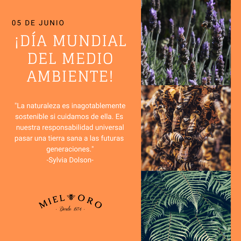 Miel Oro (@miel_oro) on Twitter photo 