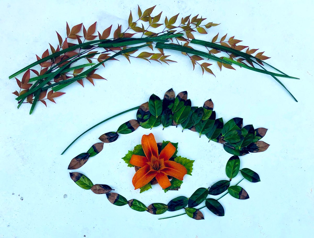 mrsrigsbee105's tweet image. I&apos;ll call this &quot;Nature&apos;s Iris.&quot; Whew! It&apos;s hot today! #ccsartsday