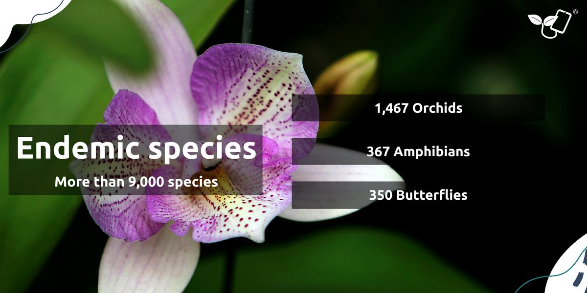 This year #WorldEnvironmentDay is hosted by #Colombia and the topic is #Biodiversity! Check out the amazing number of species from one of the most biodiverse countries in the world: