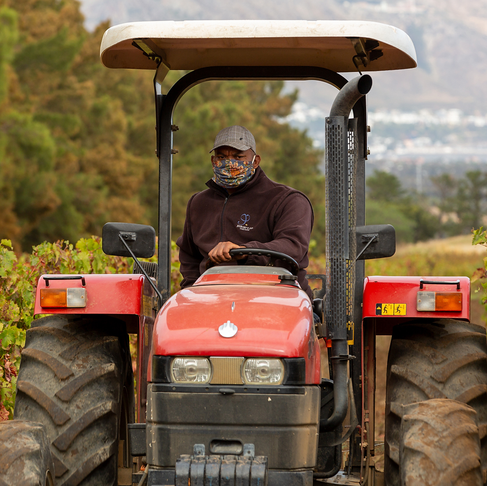 JourneysEndWine's tweet photo. PPE and distanced focused vine maintenance. Our brilliant team going the extra mile to keep the farm working. #winefarmsofcapetown #sawinelockdown https://t.co/wgBrZmWVx4