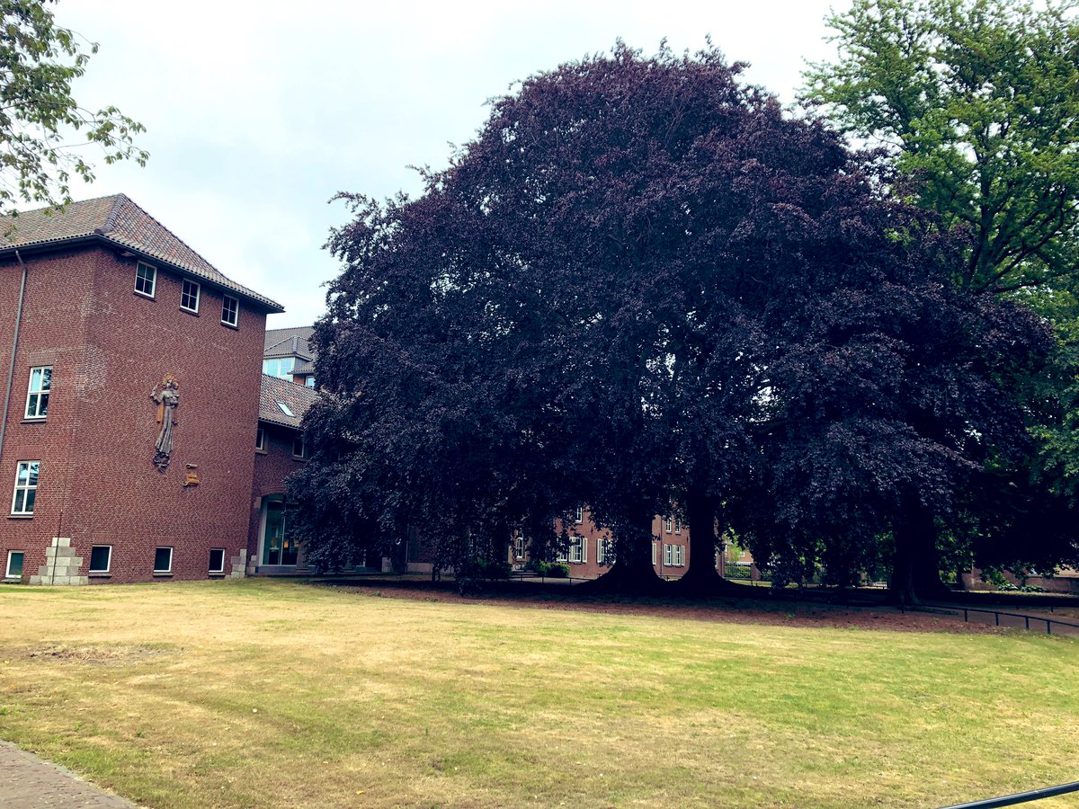 nardkronenberg's tweet image. #mylifeinpictures Day 5/7 no words. I nominate @NSteinbusch