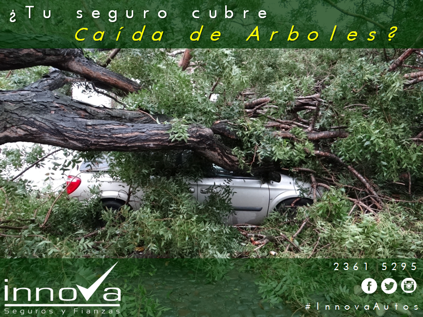 Innovaseguros's tweet photo. La mayoría de las aseguradoras NO manejan el contrato TODO RIESGO para automóviles.   ¿Estas realmente seguro?   Consultanos!
#InnovaAutos #AutosInnova #Guatemala #Traficogt #Transitogt #Segurosgt #EUTransito #Urgente #Climagt #Lluviagt #AutoSeguro #ManejaSeguro #ConduceSeguro https://t.co/l7LM69AbcZ