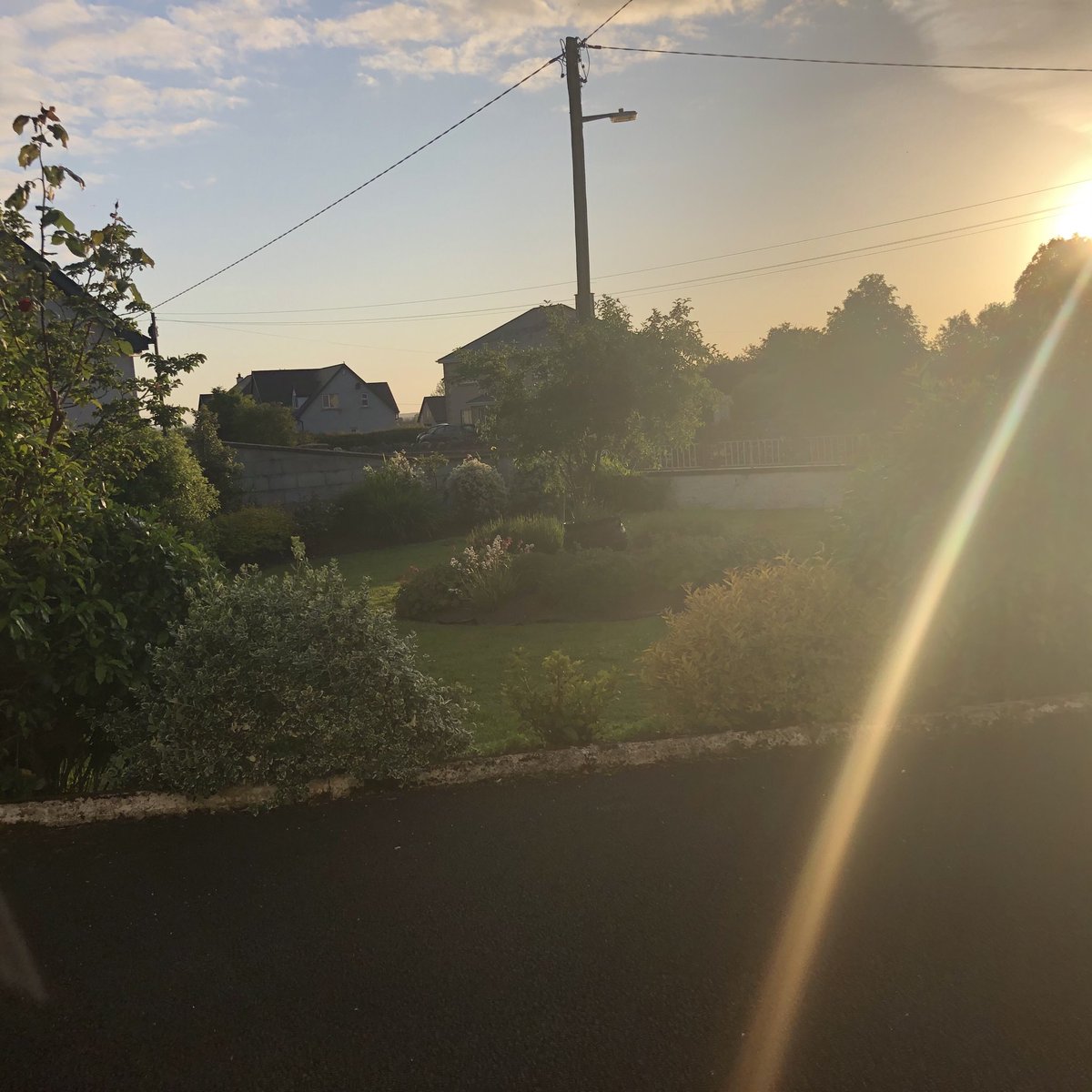 MaryMeehan17's tweet photo. #BiodiversityTLC ⁦@TLC_Limerick⁩  picture taken by Maisie Meehan age 7 https://t.co/E2EvdHH2n5
