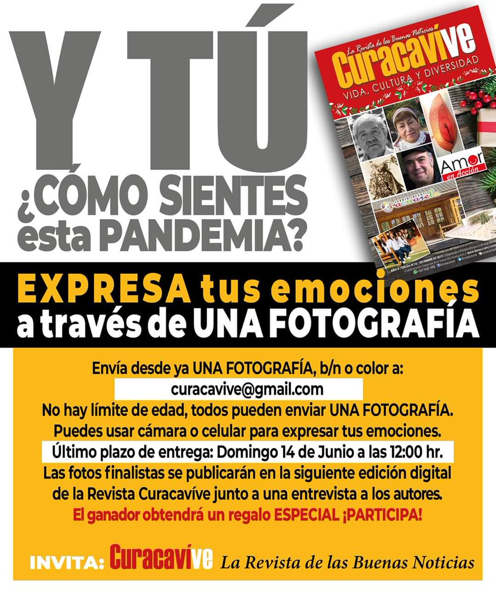 Revista Curacavíve tweet media