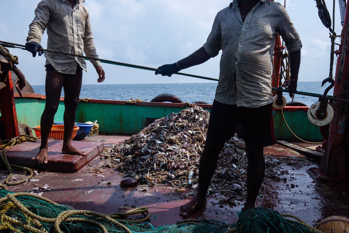 AsixPhoto's tweet image. #worldenvironmentday #climatechange #climateissue #environmentchange 
Indian #traditionalfisherman faces issue of less catch due to climate change, #subsidies 
 #sanddweller of #assam are #climaterefugees they are facing effects of #soilerosion and  #floods of #bramhaputra .