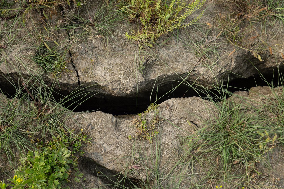 AsixPhoto's tweet image. #worldenvironmentday #climatechange #climateissue #environmentchange 
Indian #traditionalfisherman faces issue of less catch due to climate change, #subsidies 
 #sanddweller of #assam are #climaterefugees they are facing effects of #soilerosion and  #floods of #bramhaputra .