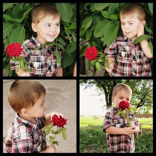 ukrconmemorial's tweet image. 04.06.2015

Ivan Nesteruk, 4 years old, was killed in Telmanovo (DPR). He was wounded during the shelling. Ivan was alive for awhile and was taken to a hospital. He died that day.

#victims #war #Donbass #DPR