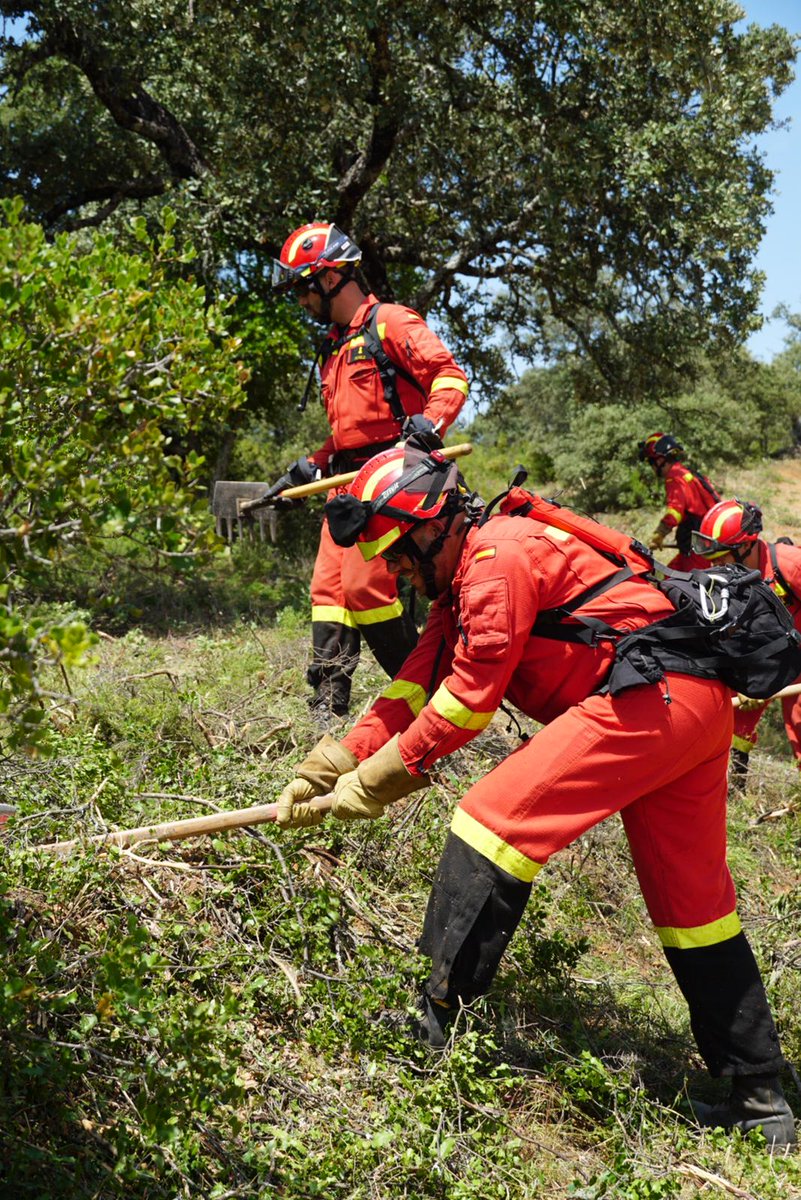 UMEgob's tweet photo. 🗓️Esta semana, los batallones continúan con la instrucción en lucha contra incendios forestales poniendo en práctica procedimientos y métodos de actuación para su aplicación en intervenciones reales.

#StopIncendios https://t.co/fehiPdpo7y