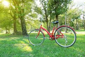 Day 2/7 #mylifeinpictures Rules: No words, no people. Nominate someone every day. I was nominated by @Basemwahby and today I nominate <a href="/durand_samuel77/">Durand Samuel</a>