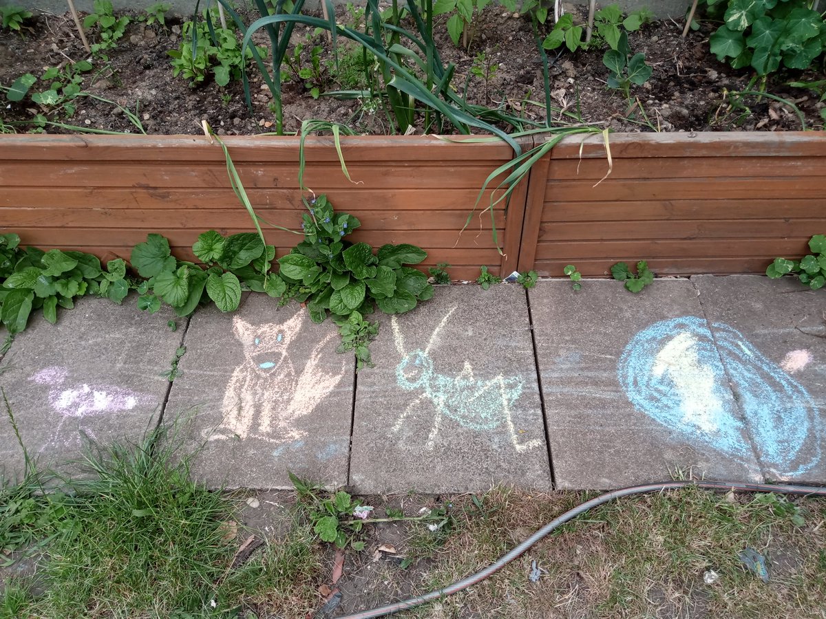 Home school with a difference. Counting the dandelions in twos (maths), chalk drawing animals (art), Drawing a chalk snake and measuring it (maths and art cross working), picking cherries to make cakes (cookery prep). A productive outside day #30DaysWild