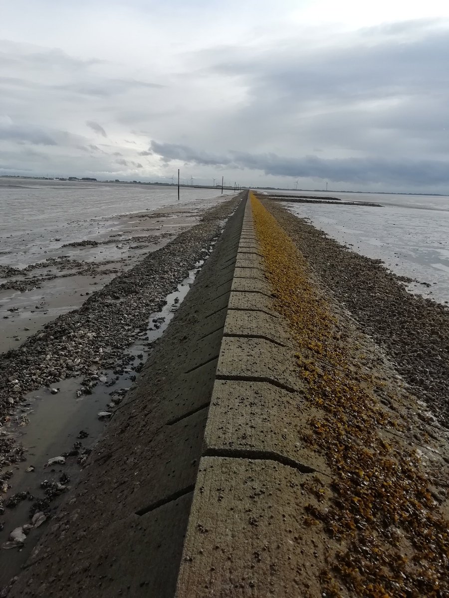 Der längste Laufsteg der Welt #geocaching