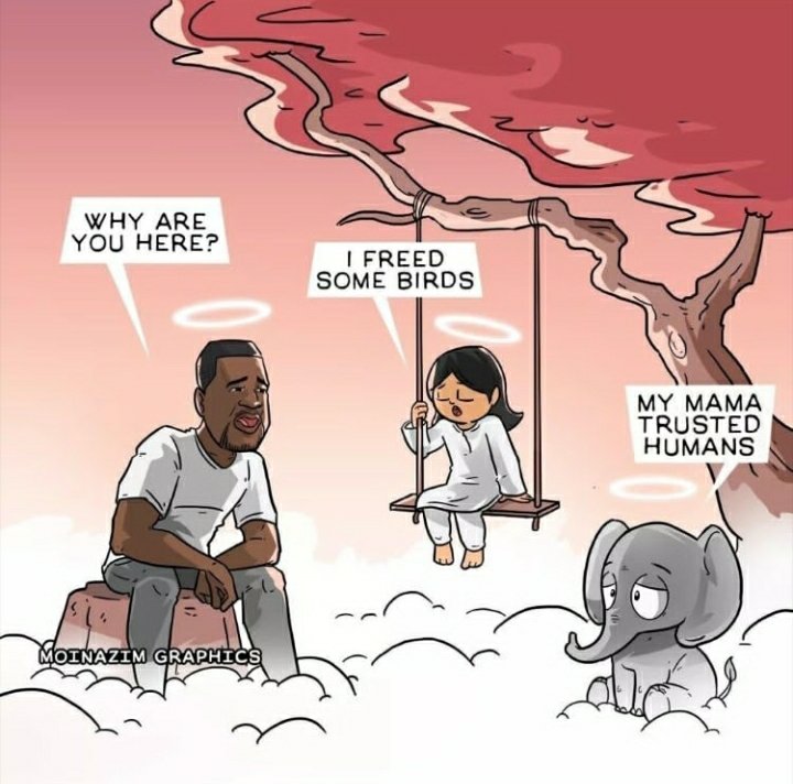 MirRohalPSP's tweet photo. Have some mercy humans. Have some compassion. https://t.co/ARIFuk1ezz