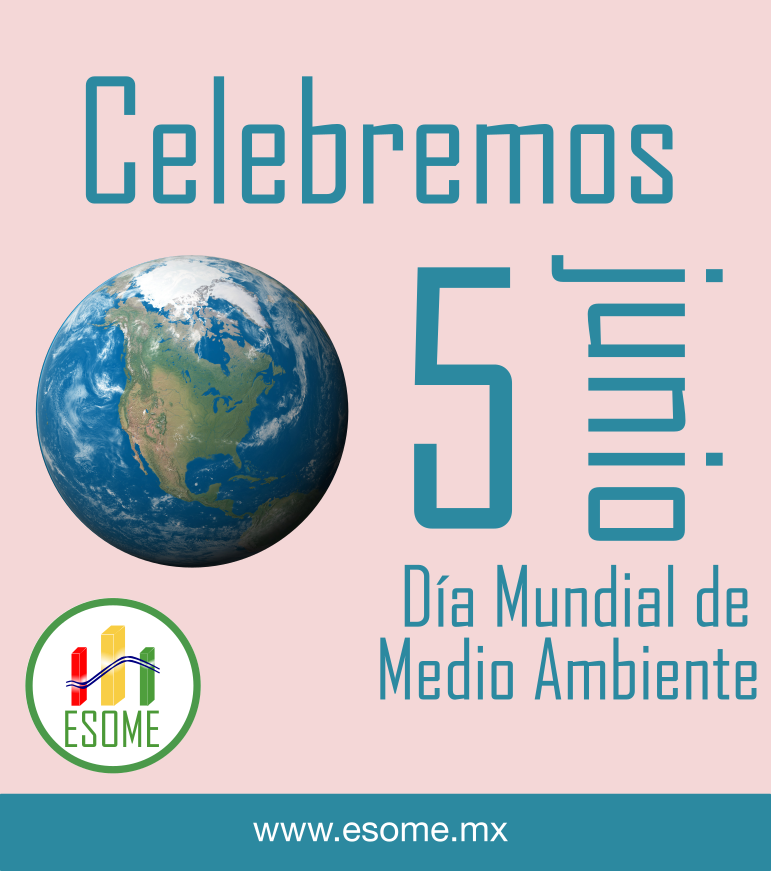 ESOMEconsultora's tweet photo. Celebremos el 5 de junio, #DiaMundialDelAmbiente, con acciones #sustentables. https://t.co/e3gP9D3oBT