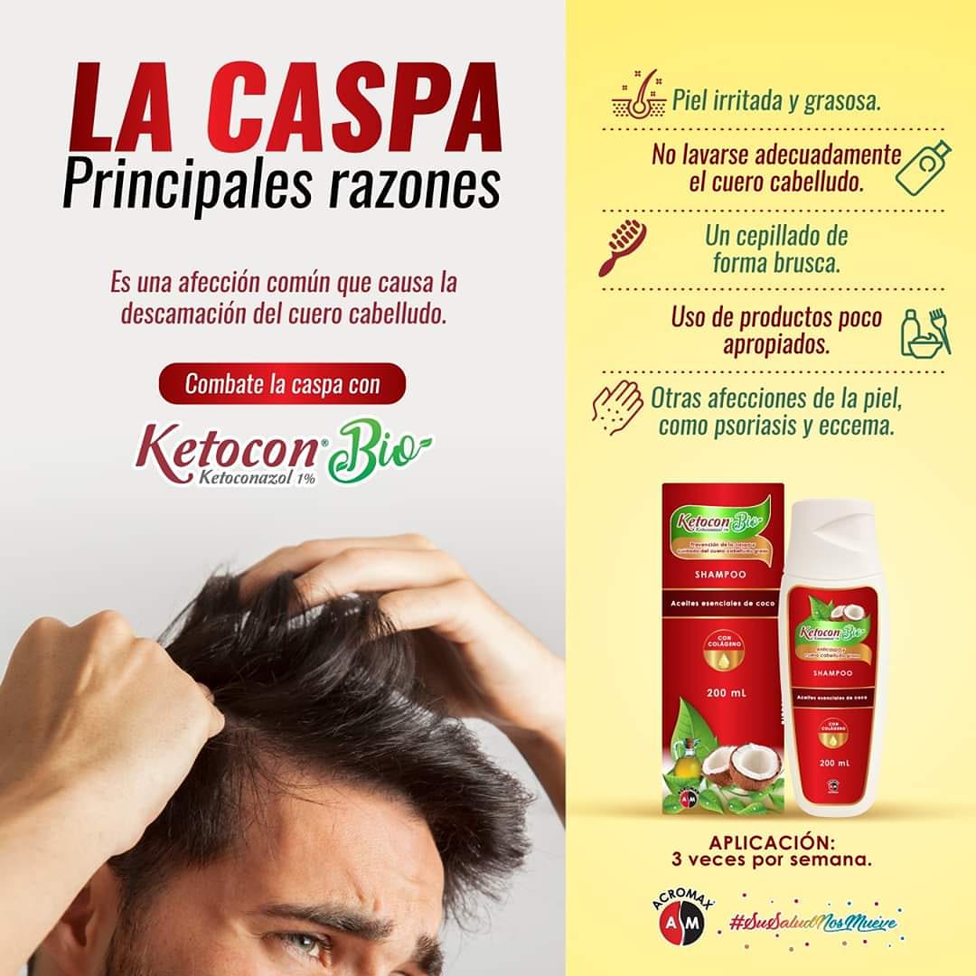 AcromaxEcuador's tweet photo. Las células del cabello, tienden a morir y a ser reemplazadas por otras. Sin embargo, la caspa aparece por un hongo.
Ketocon Bio elimina la caspa, reduciendo los síntomas como:
💧Picor
💧Irritación
💧Descamación del cuero
#Acromax #SuSaludNosMueve #KetoconBio #Caspa #Cabello https://t.co/NCr3CwD7Yh