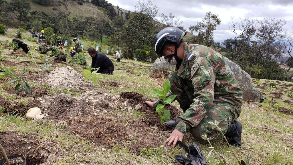 Ingenieros_EJC's tweet photo. En el marco del #DiaMundialDelMedioAmbiente, soldados #BR13, @Ingenieros_EJC #BIBYA13 #BAFLA trabajan en la siembra de 20.000 árboles en la localidad de Ciudad Bolívar #Bogotá. #SomosSuEjército #CustodiosdelMedioAmbiente https://t.co/tbGPzjKvzo