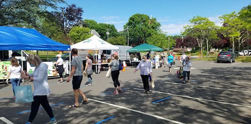 Farmers Markets Updates: Walk-In Pick-Ups, Drive-Throughs, and Direct Purchasing begins. Check links for details!  - mailchi.mp/wavehillbreads…