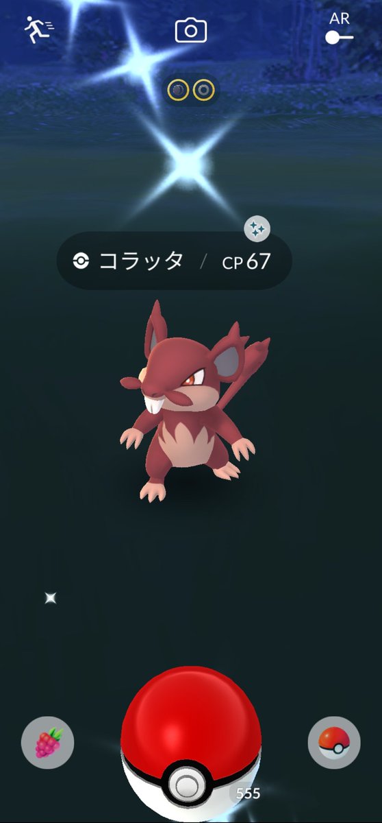 アローラコラッタ アローラコラッタ