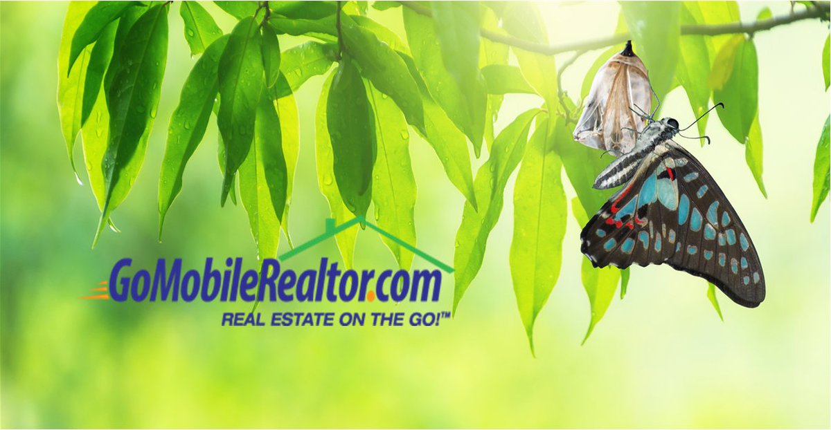 GoMobileRealtor's tweet image. Time to break out and spread your wings? Do some new marketing for the summer? We thought so! Enter Promo Code #Wings2020 and your initial fee is only $89! Yes, it still includes your first 3 rider signs (w/shipping!) #Buzzworthy
gomobilerealtor.com