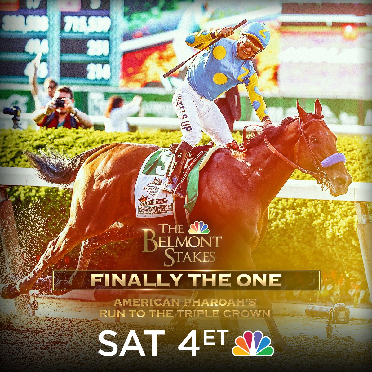 Tomorrow at 4pm ET, tune in as @NBCSports re-broadcasts its coverage of the 2015 Belmont Stakes, won by American Pharoah to clinch his Triple Crown sweep.