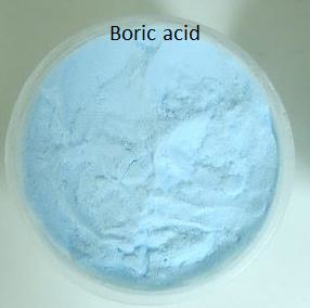 aisvash's tweet photo. I call boric acid a 𝙢𝙮𝙨𝙩𝙚𝙧𝙞𝙤𝙪𝙨 substance, but why?

𝗙𝗶𝗿𝘀𝘁, you can apply it as dry dust, spray it, or as bait.

𝗦𝗲𝗰𝗼𝗻𝗱, it kills by multiple effects: a weak desiccant, a stomach poison, and a 𝓷𝓮𝓾𝓻𝓸𝓽𝓸𝔁𝓲𝓷! 

𝗧𝗵𝗶𝗿𝗱, it penetrates the cuticle too! https://t.co/y15Uwye1HL