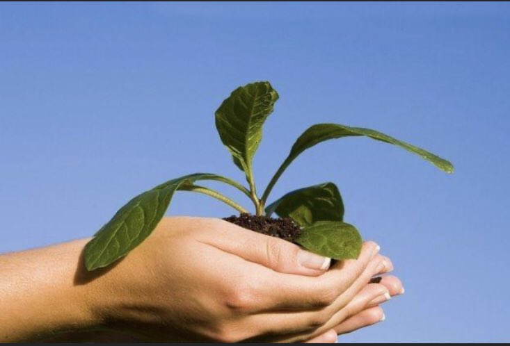 shashi_70's tweet photo. @ClubEnerji #Greenolution #ThisIsTataPower
#WorldEnvironmentDay
#WED2020
#TimeForNature
#Youth4Environment
#UNFCCC
#NITIAayog
#ForNature
#moefc https://t.co/eSIk0ISD1F