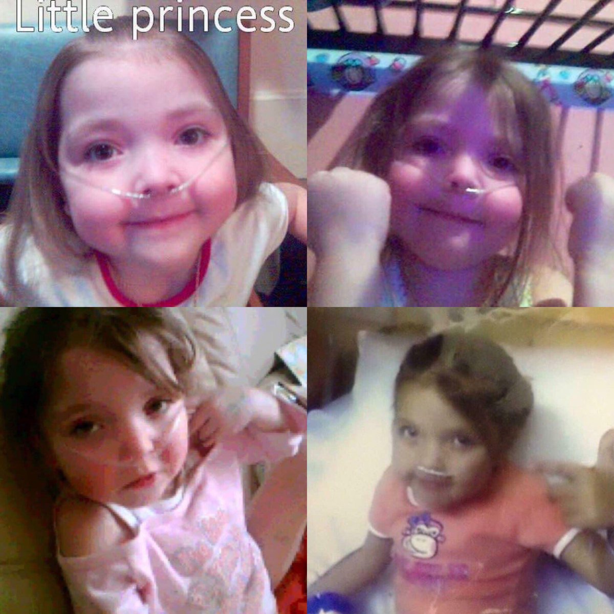 CJTrustCF's tweet image. 14 years ago today you left. Love you beautiful 💙 cheeky 🐵