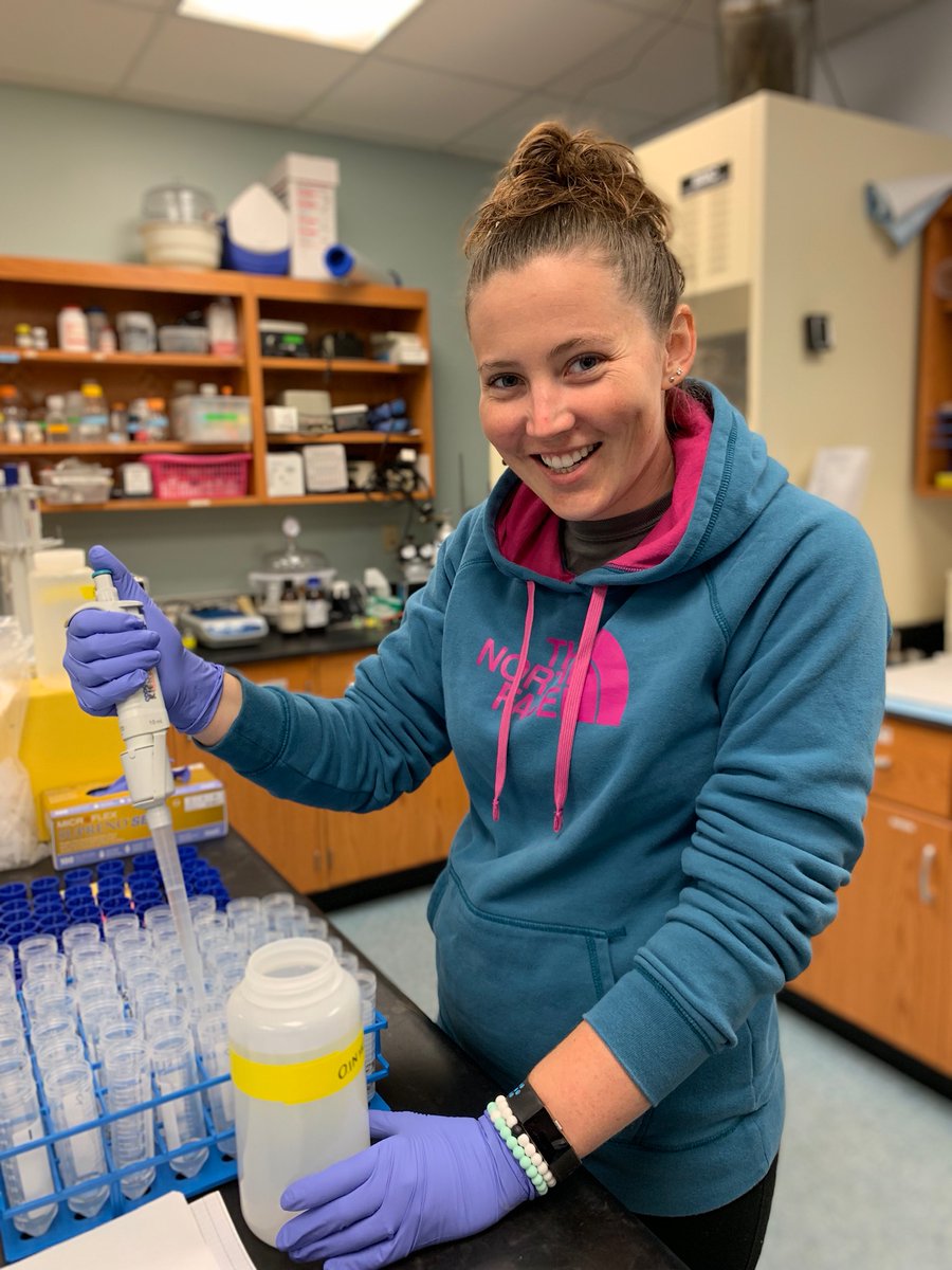 EC Marine Science (@ecmarinescience) on Twitter photo We're celebrating '11 Alum marine science geology <a href="/EckerdCollege/">Eckerd College</a> Rebecca Pickering's defense of dissertation: "Silica Cycling at the Sediment Water Interface of Coastal Systems," <a href="/disealab/">Dauphin Island Sea Lab</a>. Headed for Postdoc w <a href="/DrSilica/">DanielConley</a> <a href="/lunduniversity/">Lund University</a> Si Isotopes in Creataceous/Jurrasic Cores. We're celebrating '11 Alum marine science geology <a href="/EckerdCollege/">Eckerd College</a> Rebecca Pickering's defense of dissertation: "Silica Cycling at the Sediment Water Interface of Coastal Systems," <a href="/disealab/">Dauphin Island Sea Lab</a>. Headed for Postdoc w <a href="/DrSilica/">DanielConley</a> <a href="/lunduniversity/">Lund University</a> Si Isotopes in Creataceous/Jurrasic Cores.