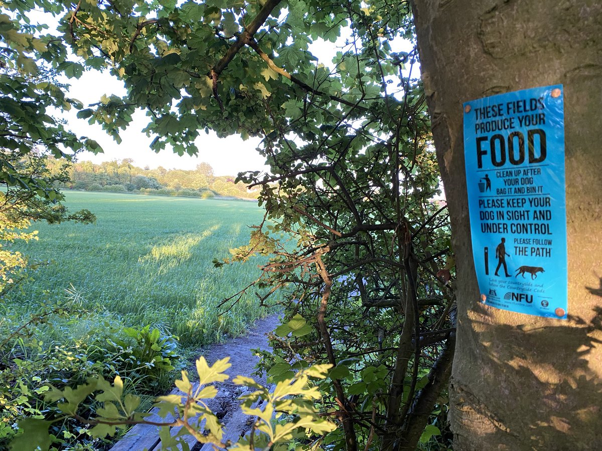 FAO people visiting the countryside!

These fields produce your food❗️
🚶‍♀️ stick to paths, do not trespass.
🐕 keep dogs under control.
💩 bag +bin their faeces.
🚮 bin or take home all litter.
🔥 do NOT start fires/ leave bbqs. 
🚪 leave gates as you find them.

#CountrysideCode