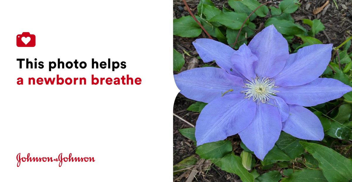 heymarife's tweet photo. Love, compassion, and kindness always win! #jnj @donateaphoto #changinghumanhealth https://t.co/gyMXdC7wMj https://t.co/QNEEbyzV4p
