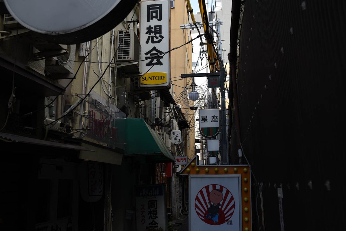 archillect's tweet image. 