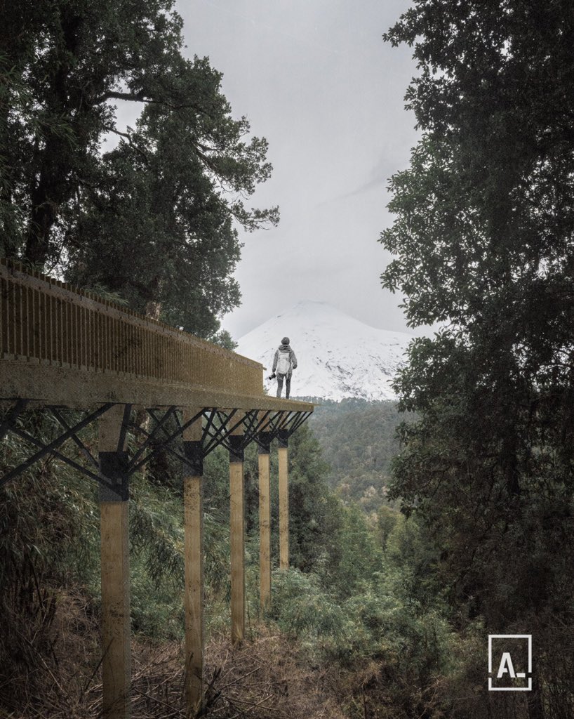 AllardPartners's tweet photo. En @AllardPartners celebramos #DiaMundialDelMedioAmbiente #WorldEnvironmentDay2020 con proyectos que han permitido conservar más de 40 mil hectáreas de bosque nativo, promover la protección de dos humedales y avanzar en el diseño de más de 8 parques urbanos y corazones de barrio! https://t.co/y92JlYnrZ3