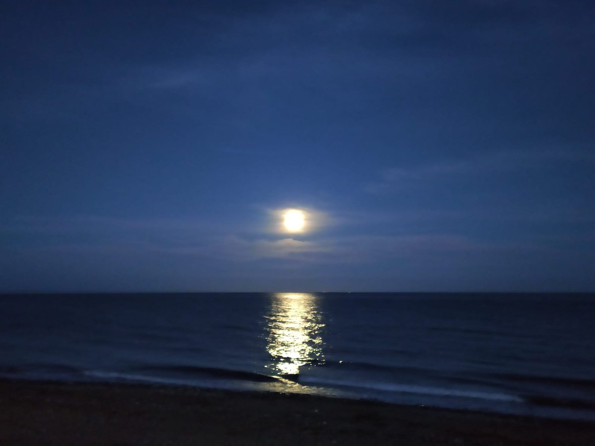 JMGarciaUrbano's tweet photo. El eclipse de Luna de Fresa deja en Estepona estas bonitas imágenes. https://t.co/rv2t5Fnfj6