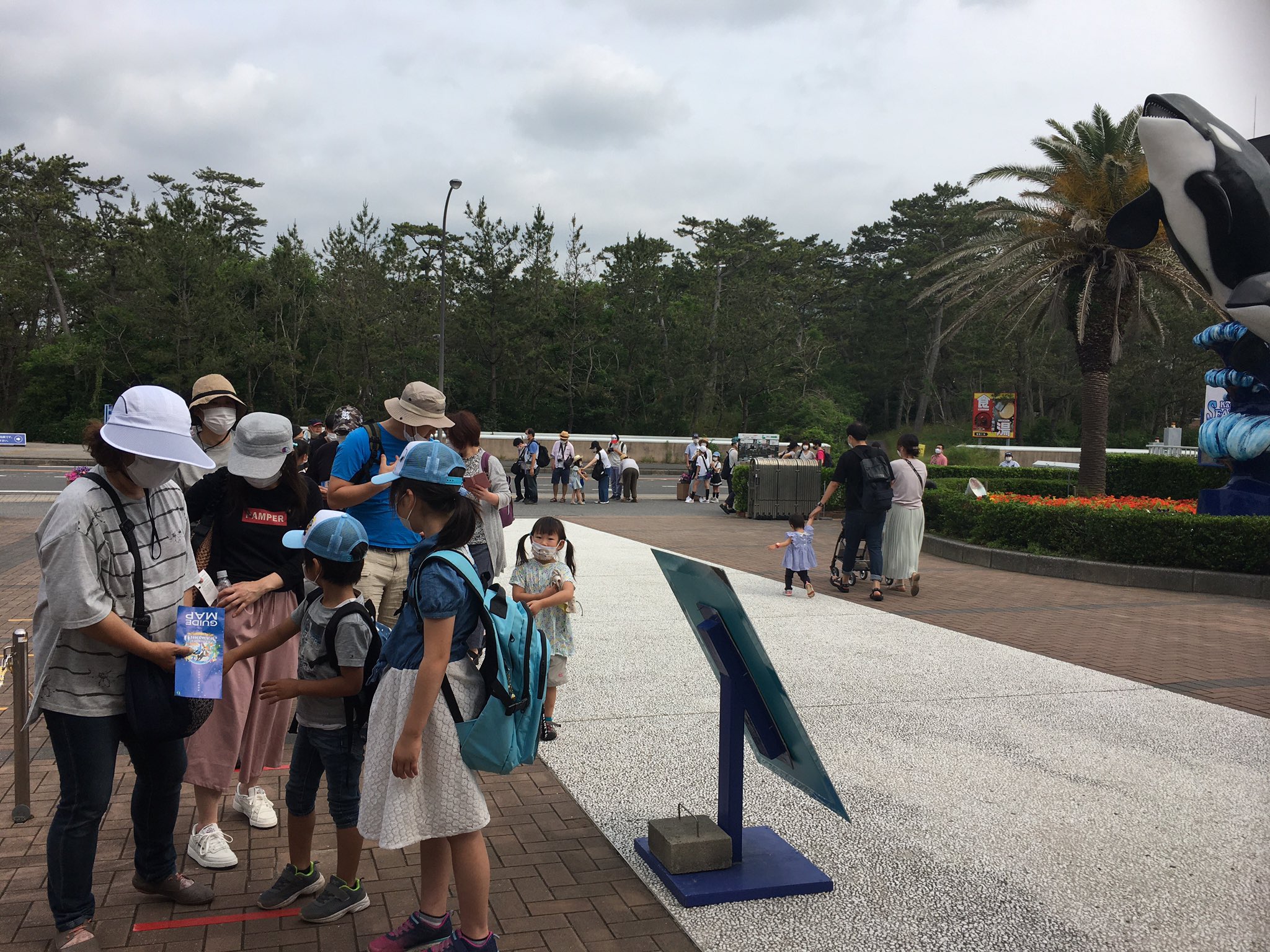 かおまる 再開から初土曜日の鴨川シーワールドです 本日より土日及び混雑日は新ルール 各パフォーマンス会場は入れ替え制 開始30分前まで入場出来ません 鴨川シーワールド 再開後初土曜日 シャチ T Co 9qp85jtxea Twitter