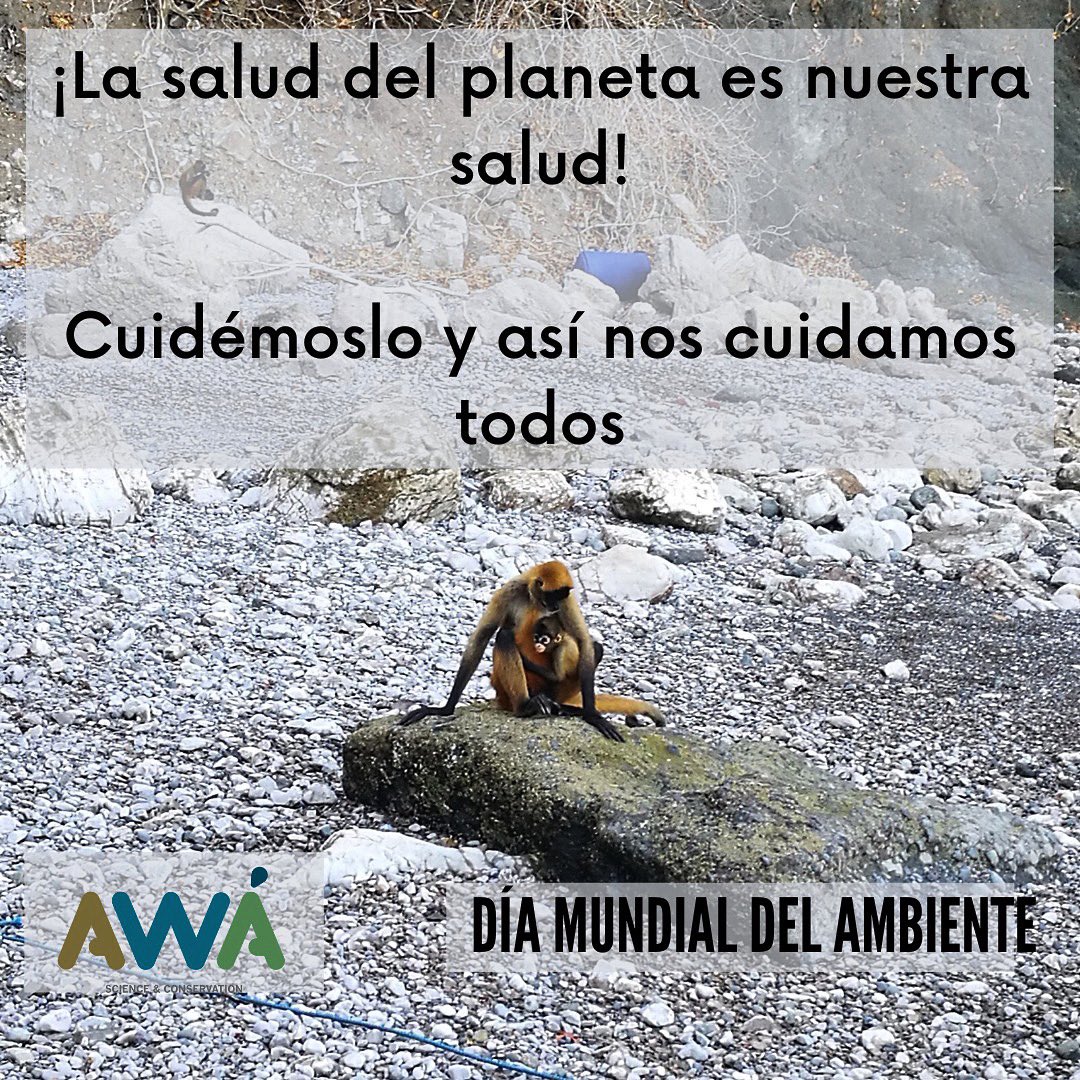 AwaScience tweet picture