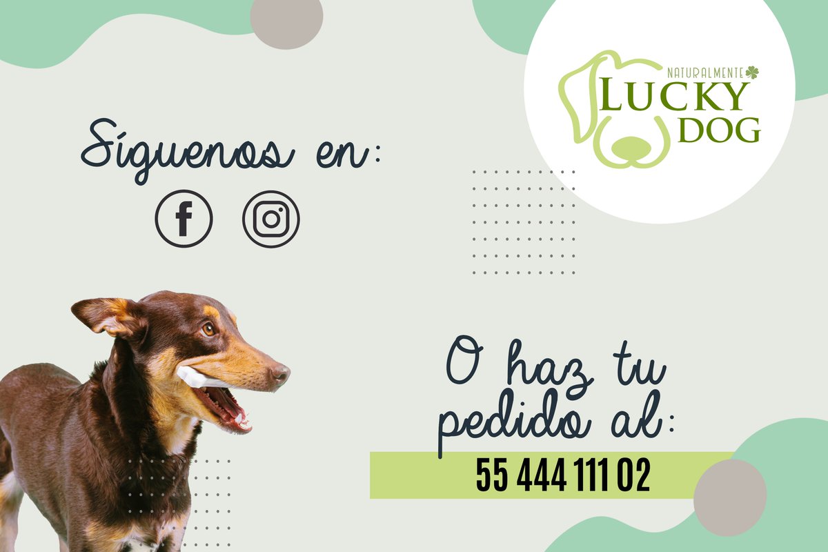 luckydogmex's tweet photo. https://t.co/FhJhr1hwUK