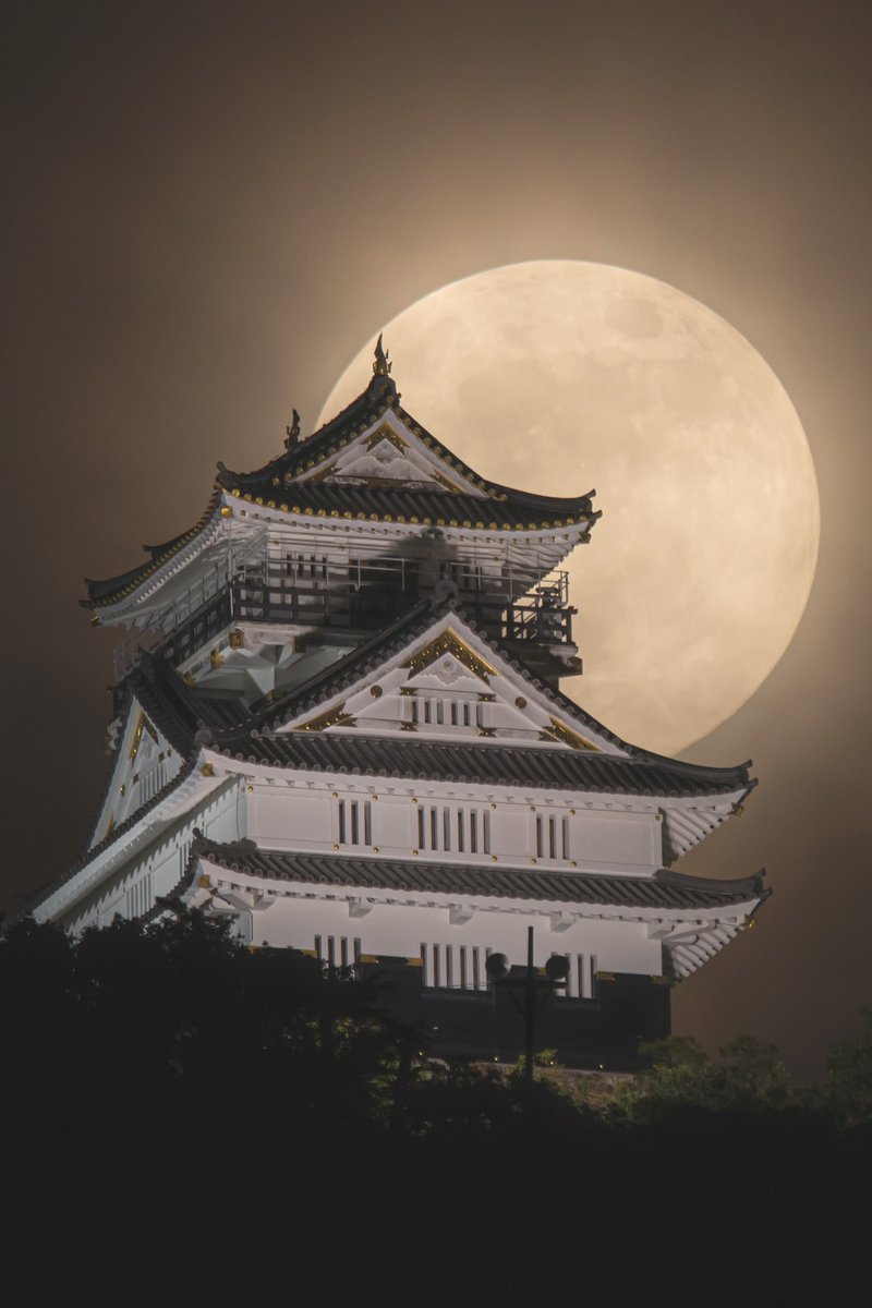 Jigurohiro 昨日の岐阜城と月 6月の満月はストロベリームーンと言うそうです 久しぶりの岐阜城と月の撮影でしたが楽しかったー ストロベリームーン 東京カメラ部 岐阜城
