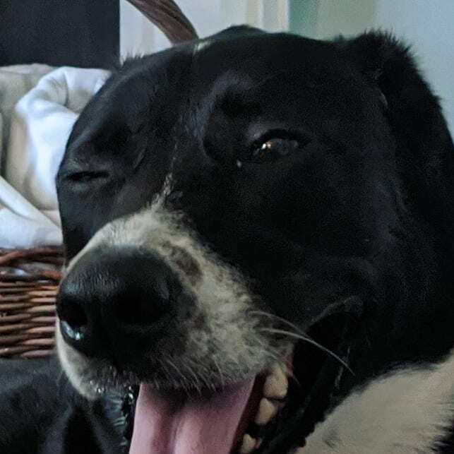 Mike Wilson! tweet media