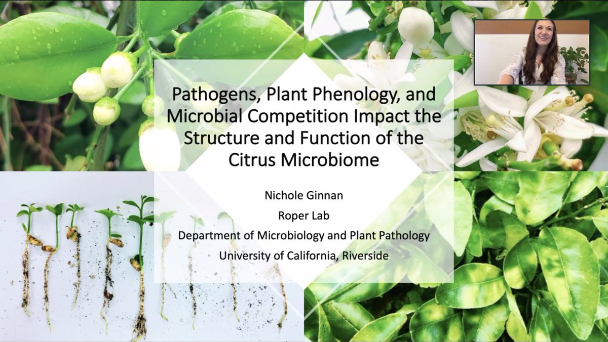 Roper Lab @ UC Riverside tweet media
