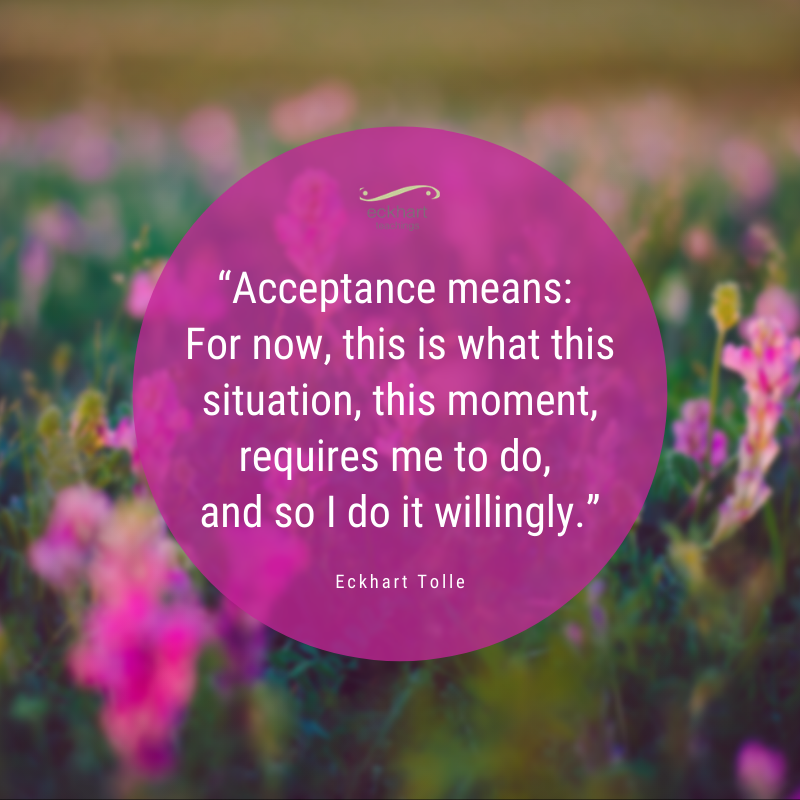 EckhartTolle's tweet photo. “Acceptance means: For now, this is what this situation, this moment, requires me to do, and so I do it willingly.” - Eckhart Tolle https://t.co/00PNhaXgcJ