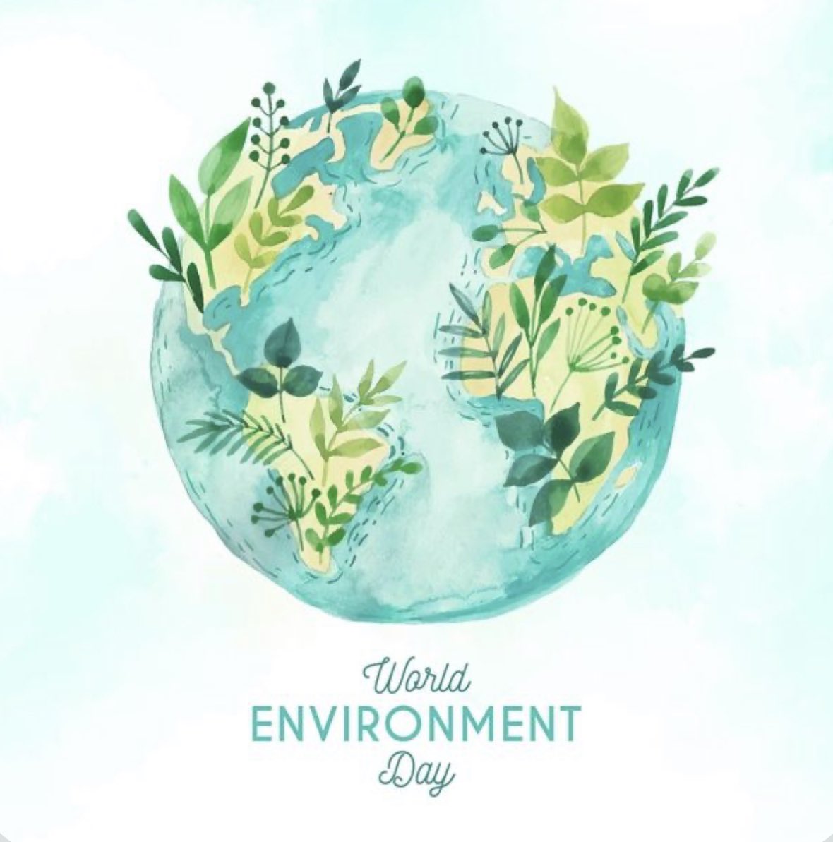 Happy World Environment Day! Let’s remember to love our planet and each other. 🌱🤲🏻🌲🤲🏼🌿🤲🏽🍃🤲🏾🌳🤲🏿🍀 .
.
.
.

#WorldEnvironmentDay2020