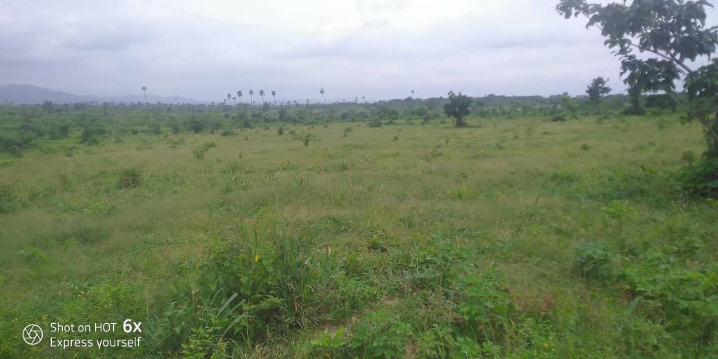 Elijah Falade tweet media