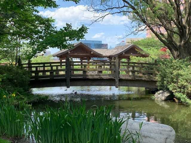 BonnieCrombie's tweet photo. Kariya Park has officially reopened following the end of cherry blossom season. Please remember to keep a safe physical distance of 2 metres and respect park rules when visiting to help slow the spread of #COVID19. Learn more about our reopenings here: https://t.co/AtlI57Ua3c https://t.co/0Edyk2tSlH