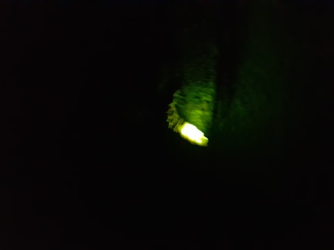 WildmanTrev's tweet photo. Working late and found this little fella on the wall tonight. Amazing Glow worms! https://t.co/fcaX5UxTSd