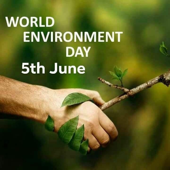 yejideonanuga's tweet photo. What a day!
Had so much plans for today but I'm glad we were able to #plantatree. Soo in love with my new baby tree. My family planted 5 trees today😁.
Green is life, sustainability is the goal!
#WorldEnvironmentDay
#PloggingNigeria
#plogastreetplantatree
@Omowunmimurewa @Nugadel https://t.co/uK0GbmwHER